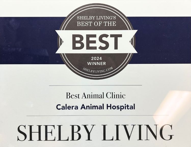 Shelby Living Best Animal Clinic Award