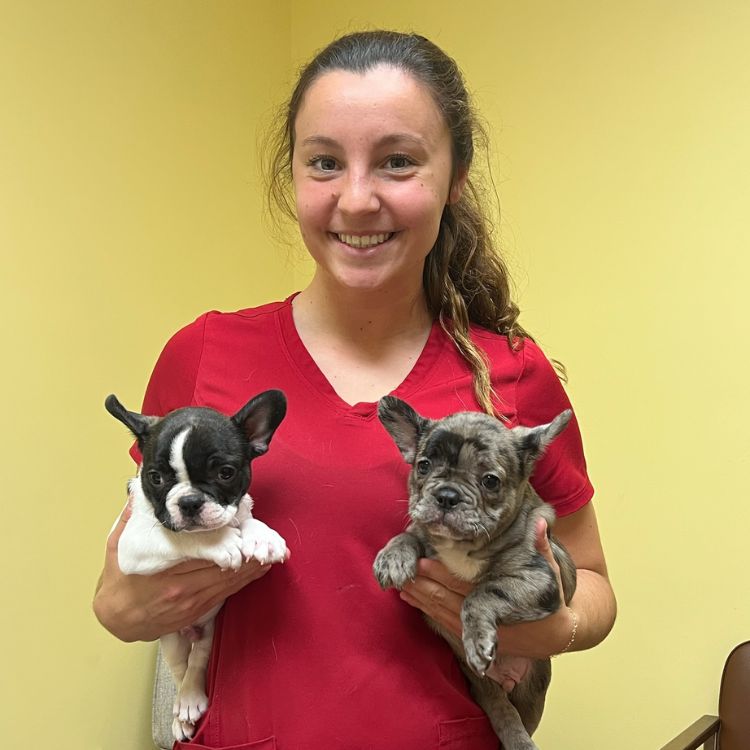 Veterinary Staff holding puppies