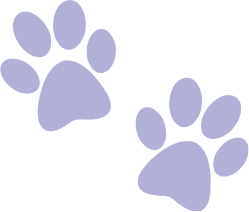 paw prints