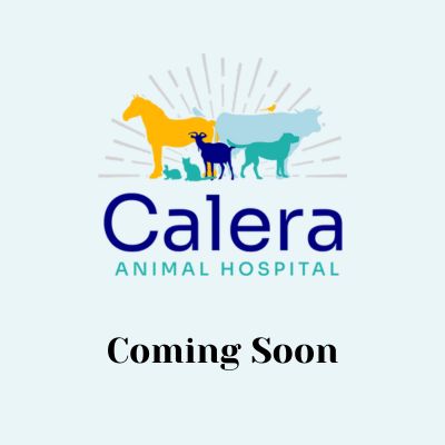 Coming Soon Coming Soon